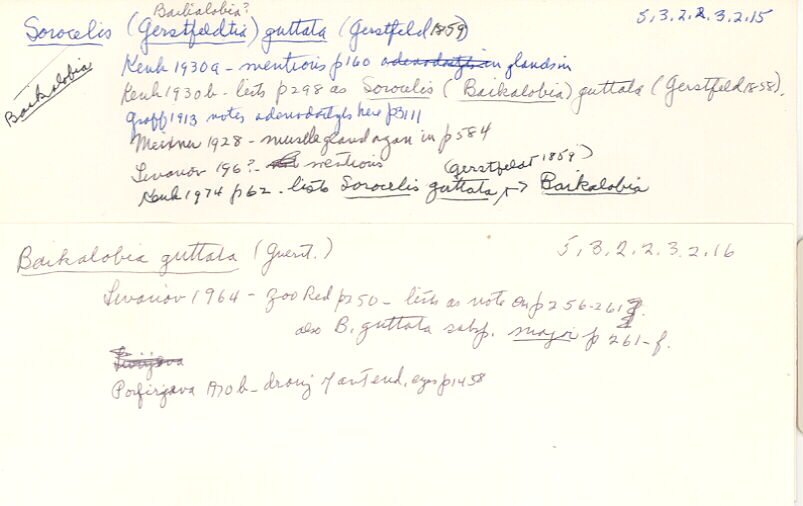 index card