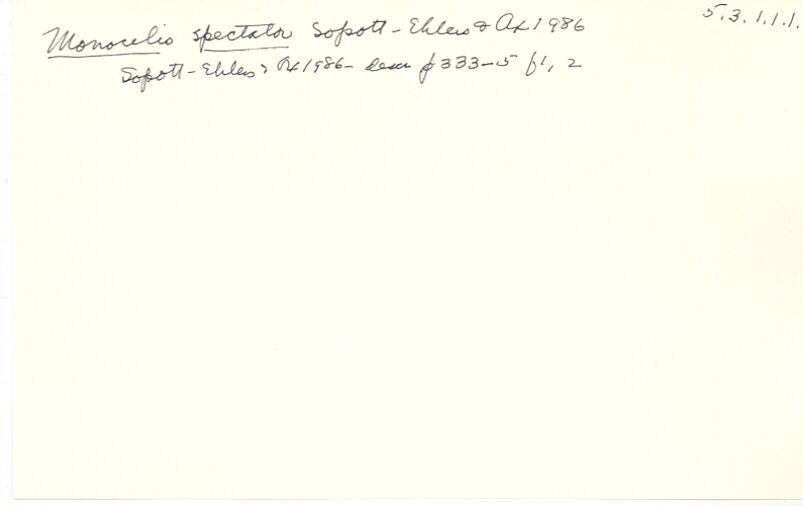 index card