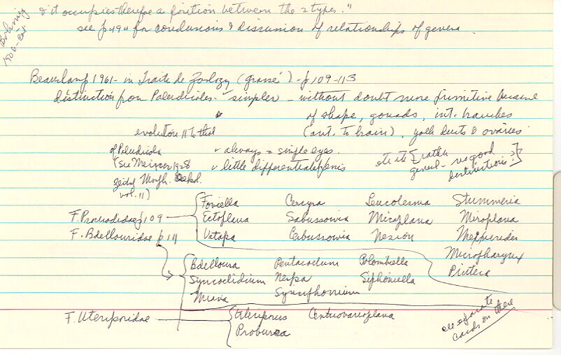 index card