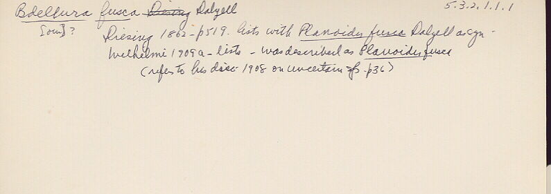 index card