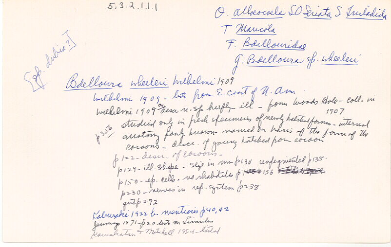 index card