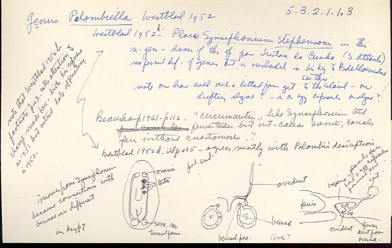 index card