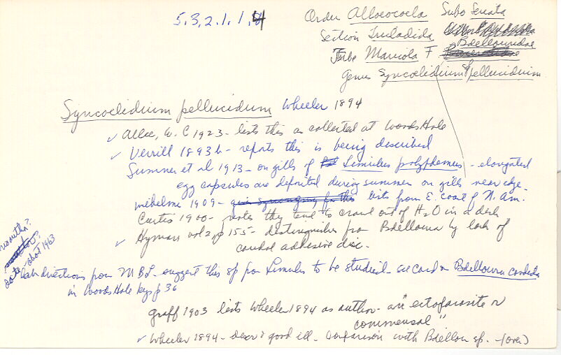index card