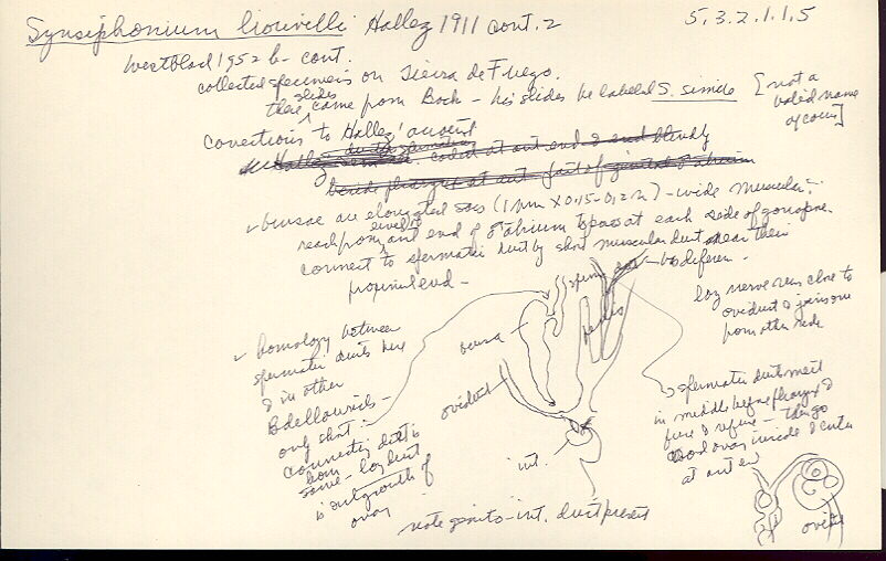 index card