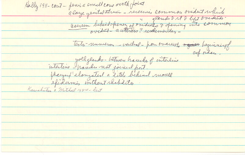 index card