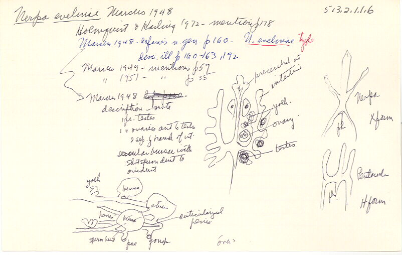 index card