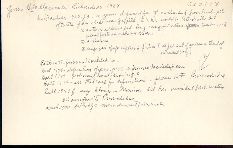 index card