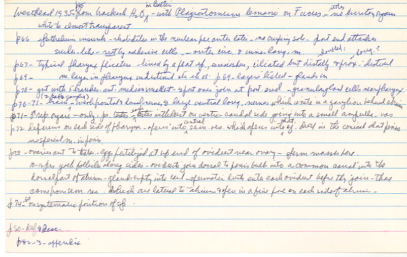 index card