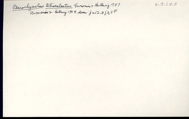 index card