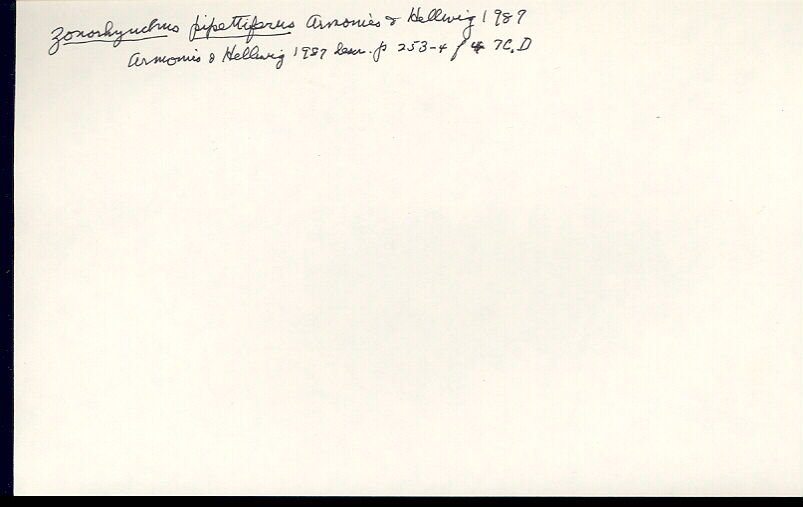 index card