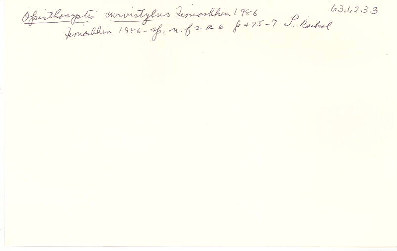 index card