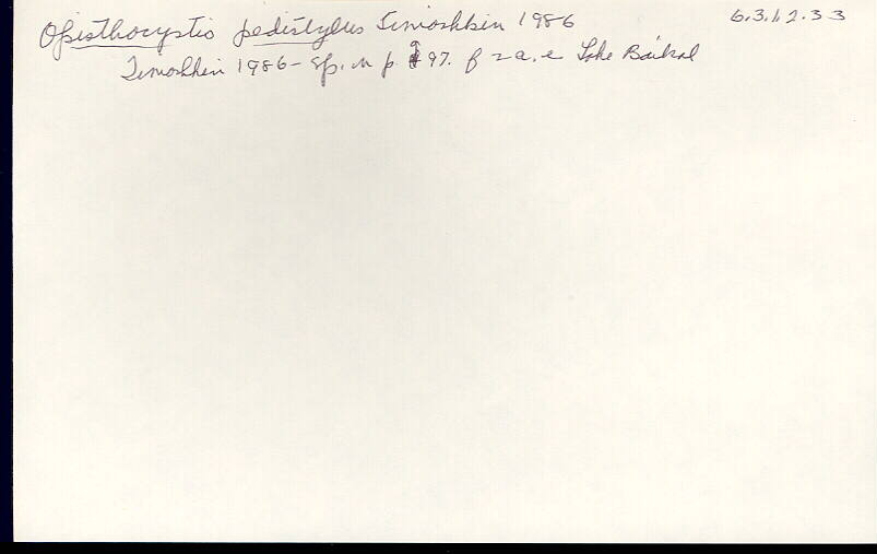 index card