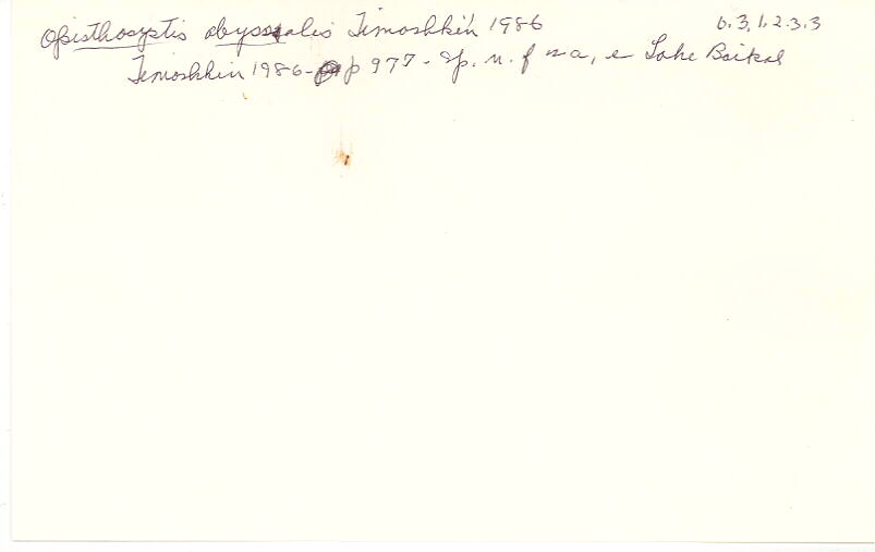 index card