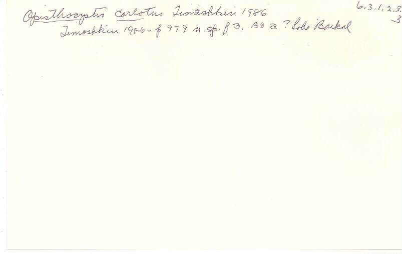 index card