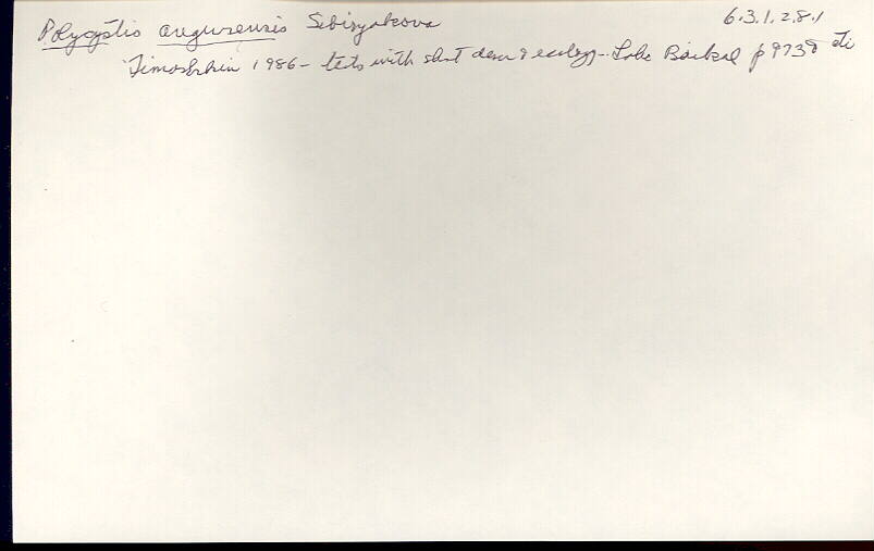 index card