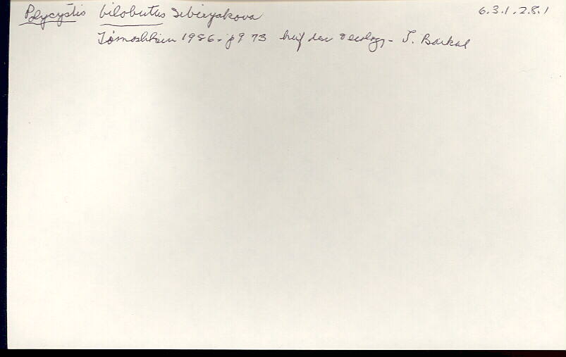 index card