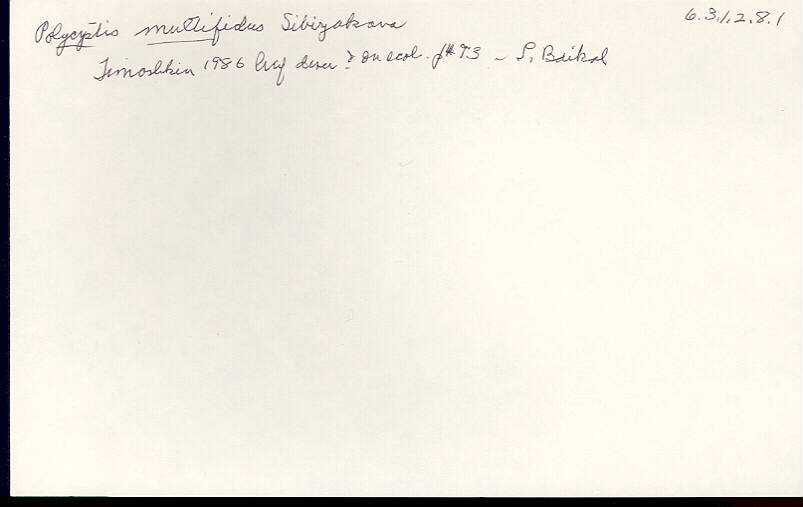 index card