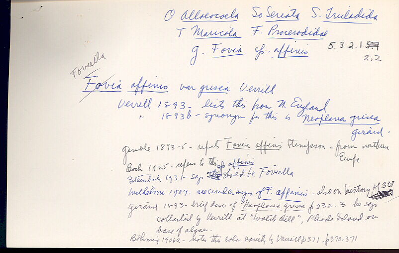 index card