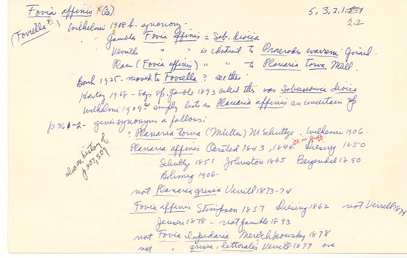 index card
