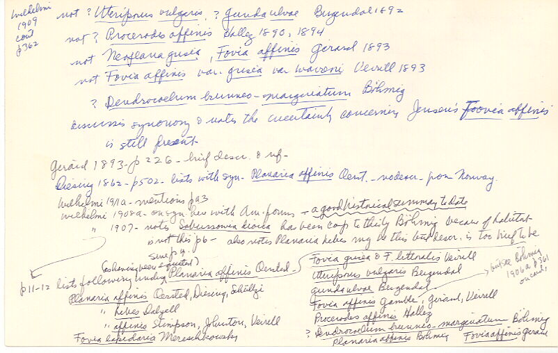 index card
