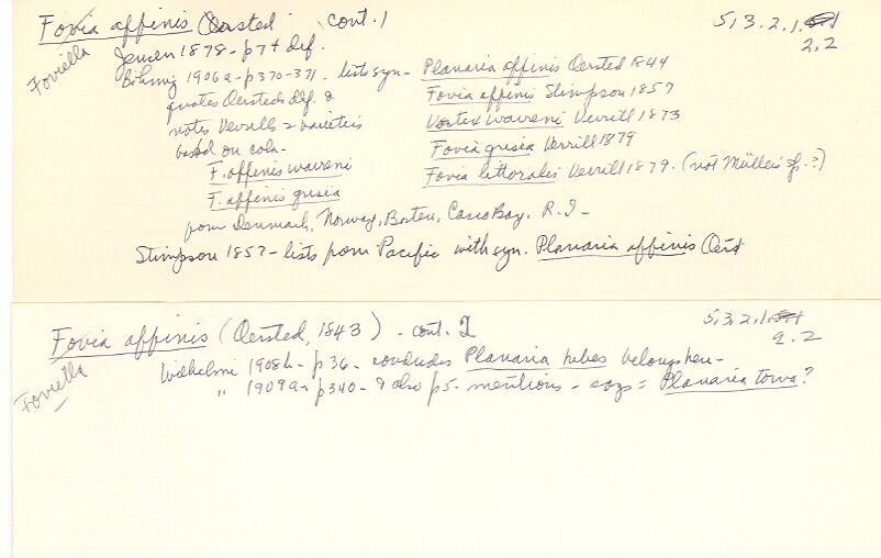 index card