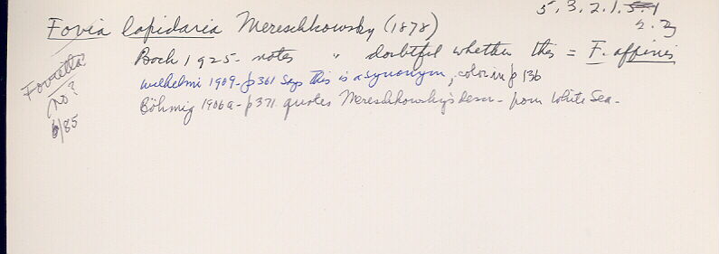 index card
