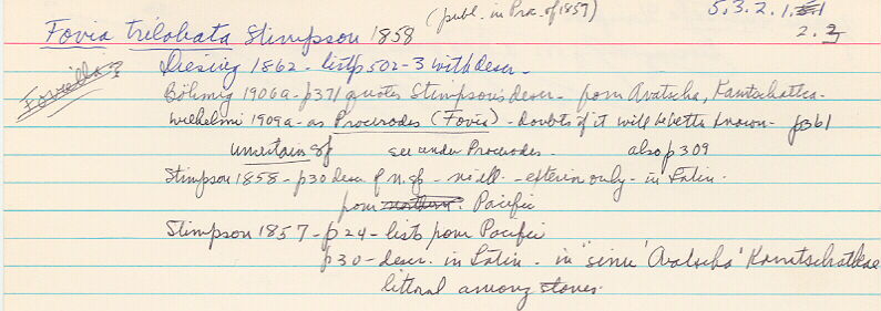 index card