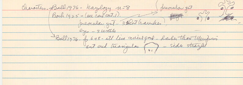 index card