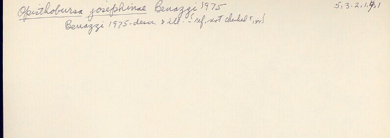 index card