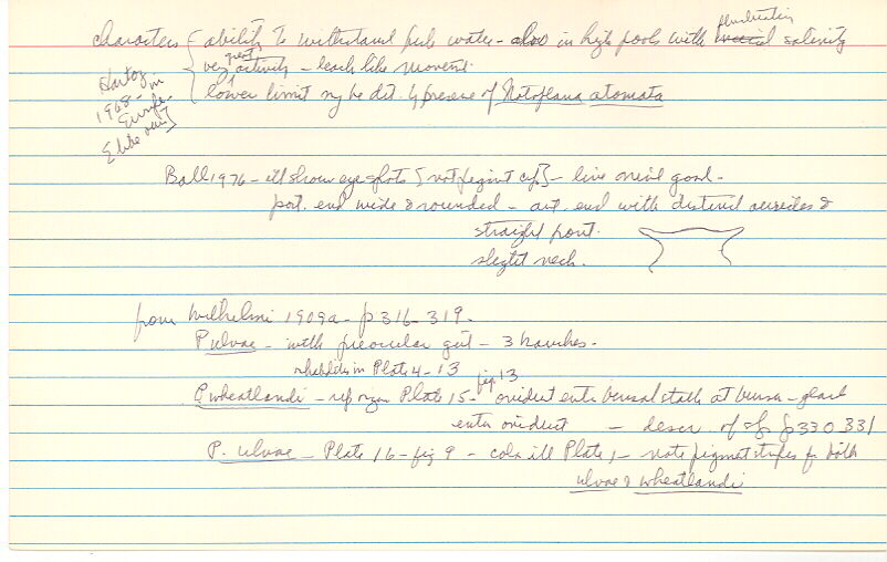 index card