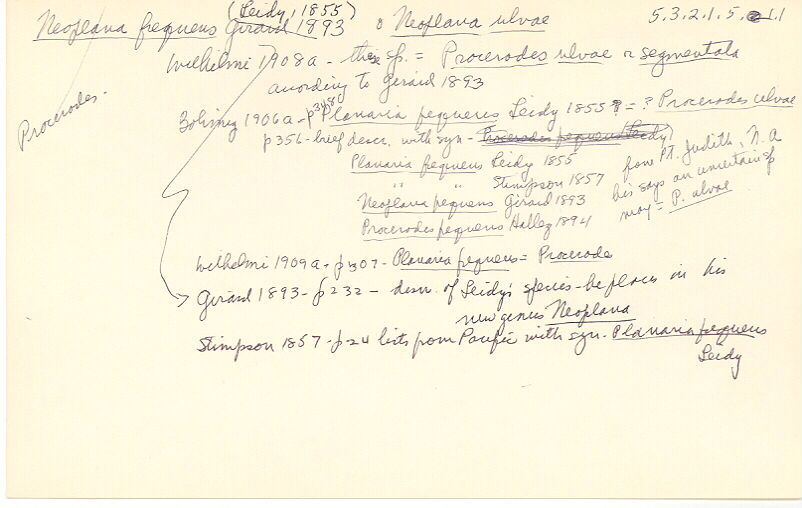 index card