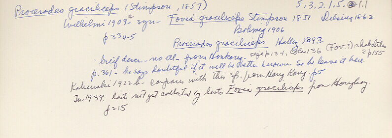 index card