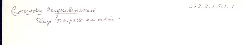 index card
