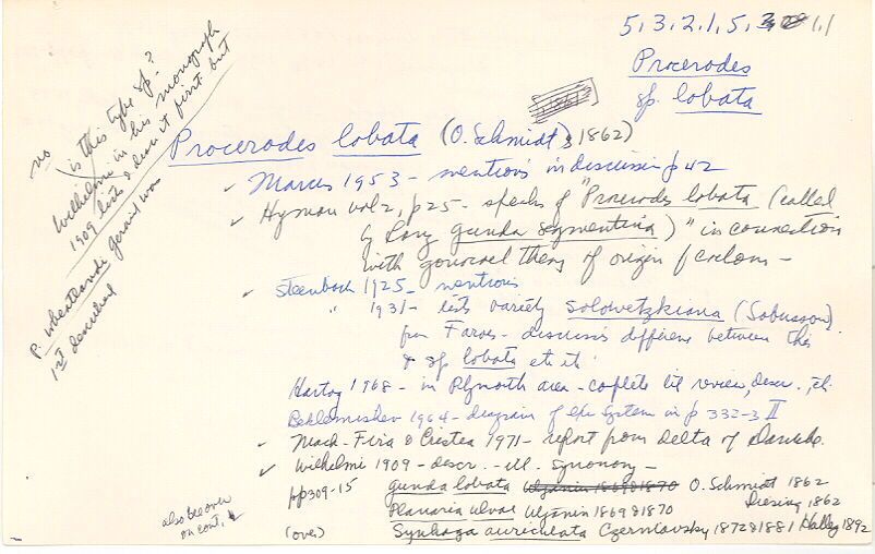 index card