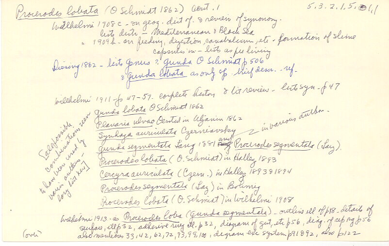 index card