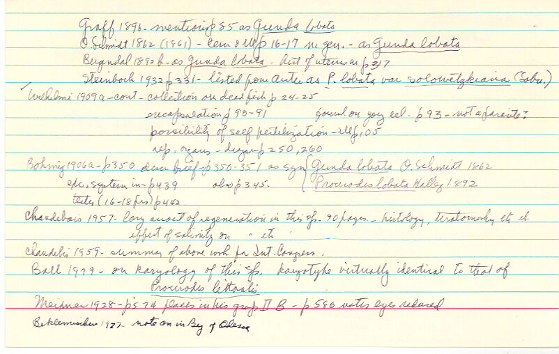 index card