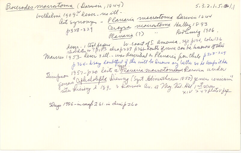 index card