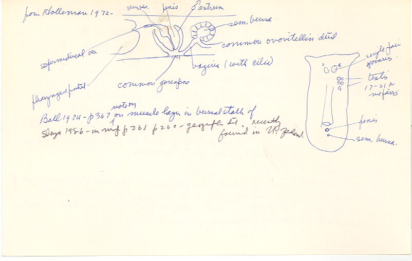 index card