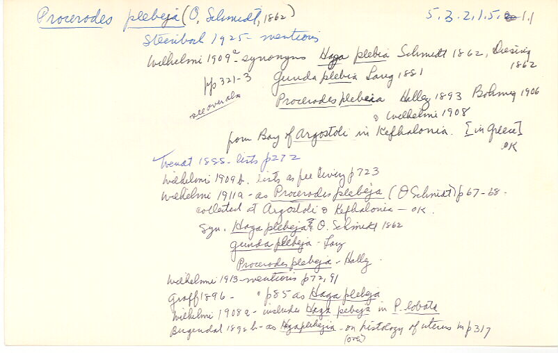 index card