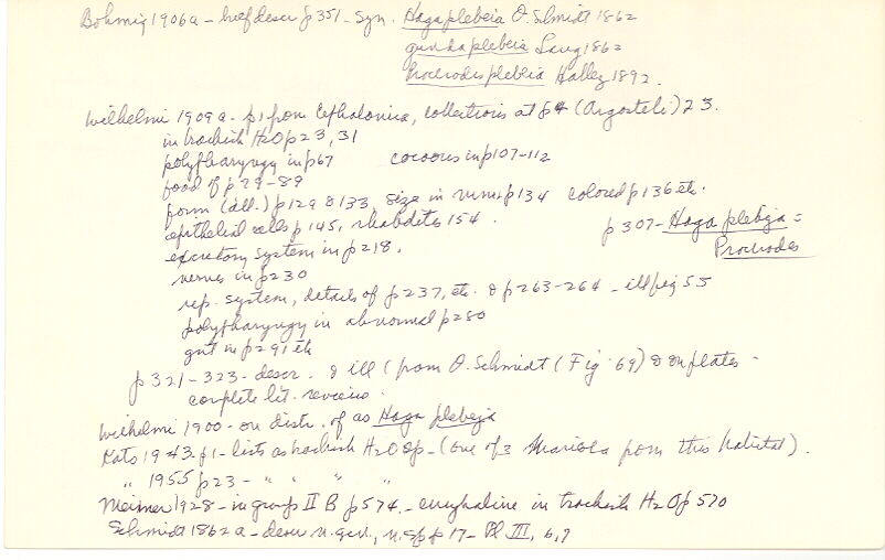 index card