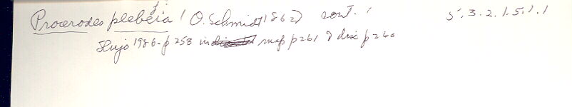 index card
