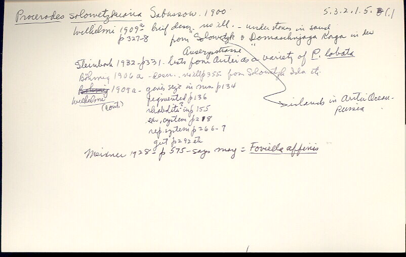 index card