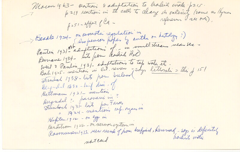 index card
