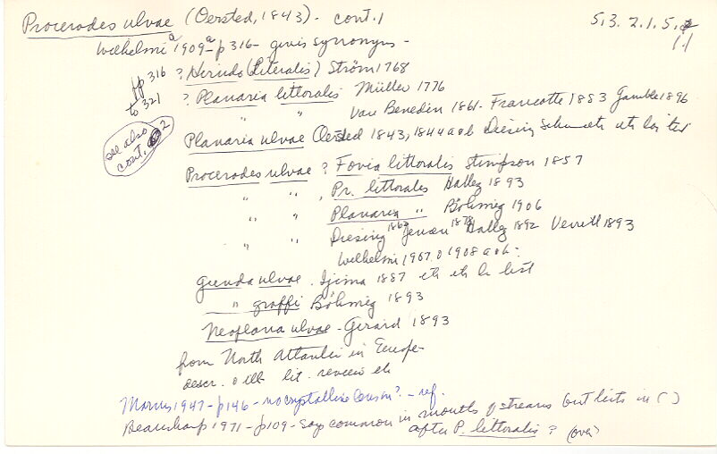 index card