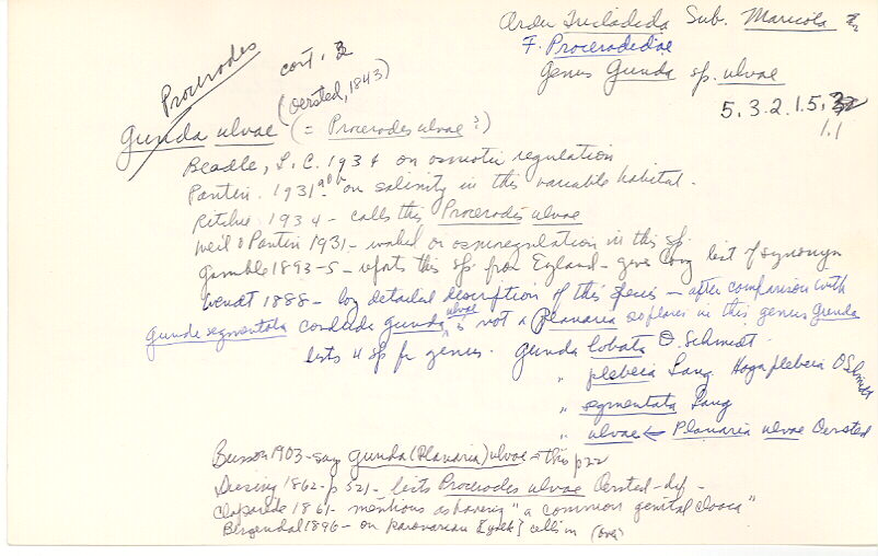 index card