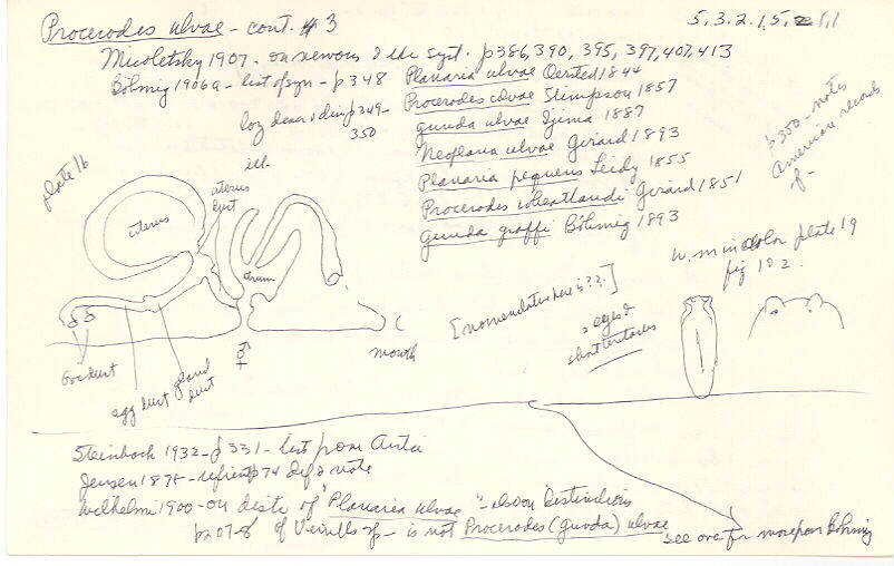 index card