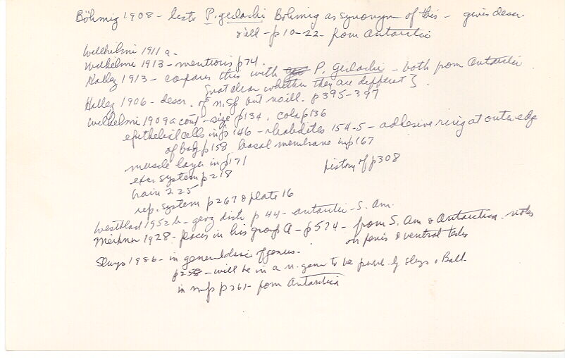 index card