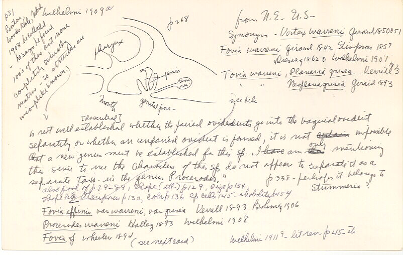 index card
