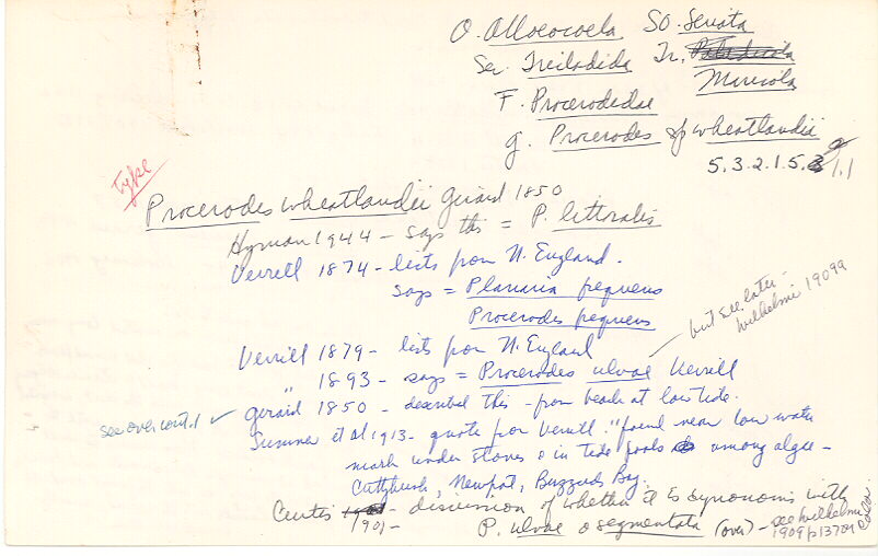 index card