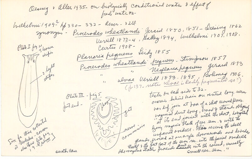 index card